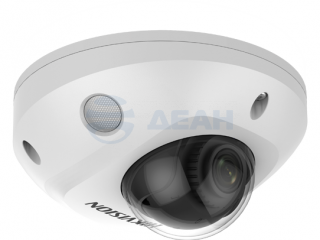                         DS-2CD2543G2-IS(2.8mm)
						
